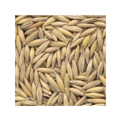 BIO Zab (kg)