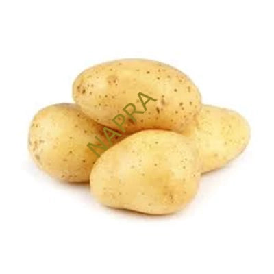 Sárga burgonya Agria BIO (kg)